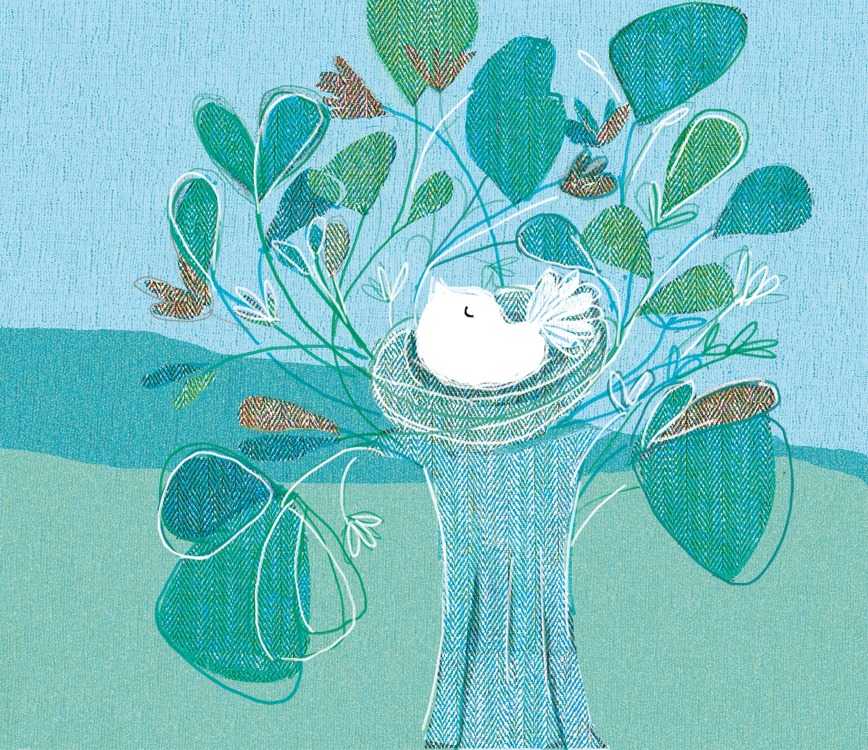 Susana Venegas Gandolfo